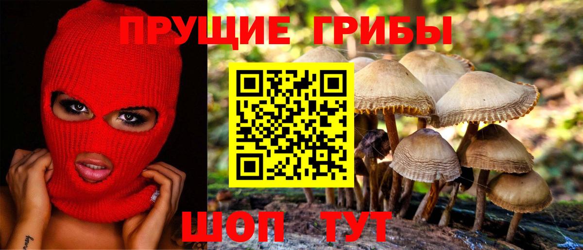 Галлюциногенные грибы мицелий Арсеньев